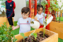 Guide to Maple Bear Nursery in the UAE: Curriculum, Languages Taught, etc.